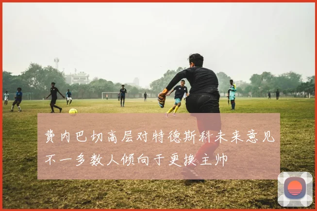 费内巴切高层对特德斯科未来意见不一多数人倾向于更换主帅