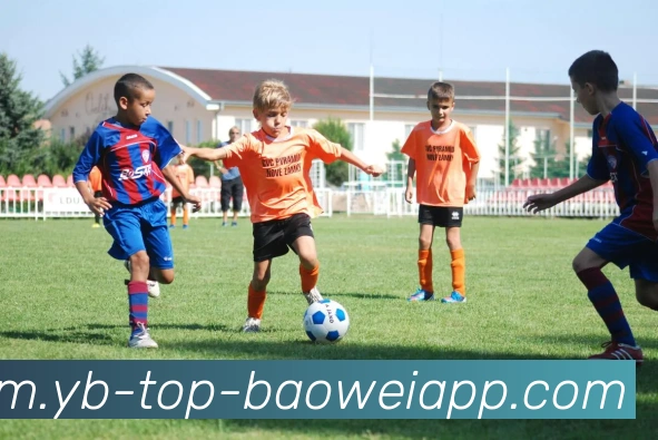 宝威体育品牌故事